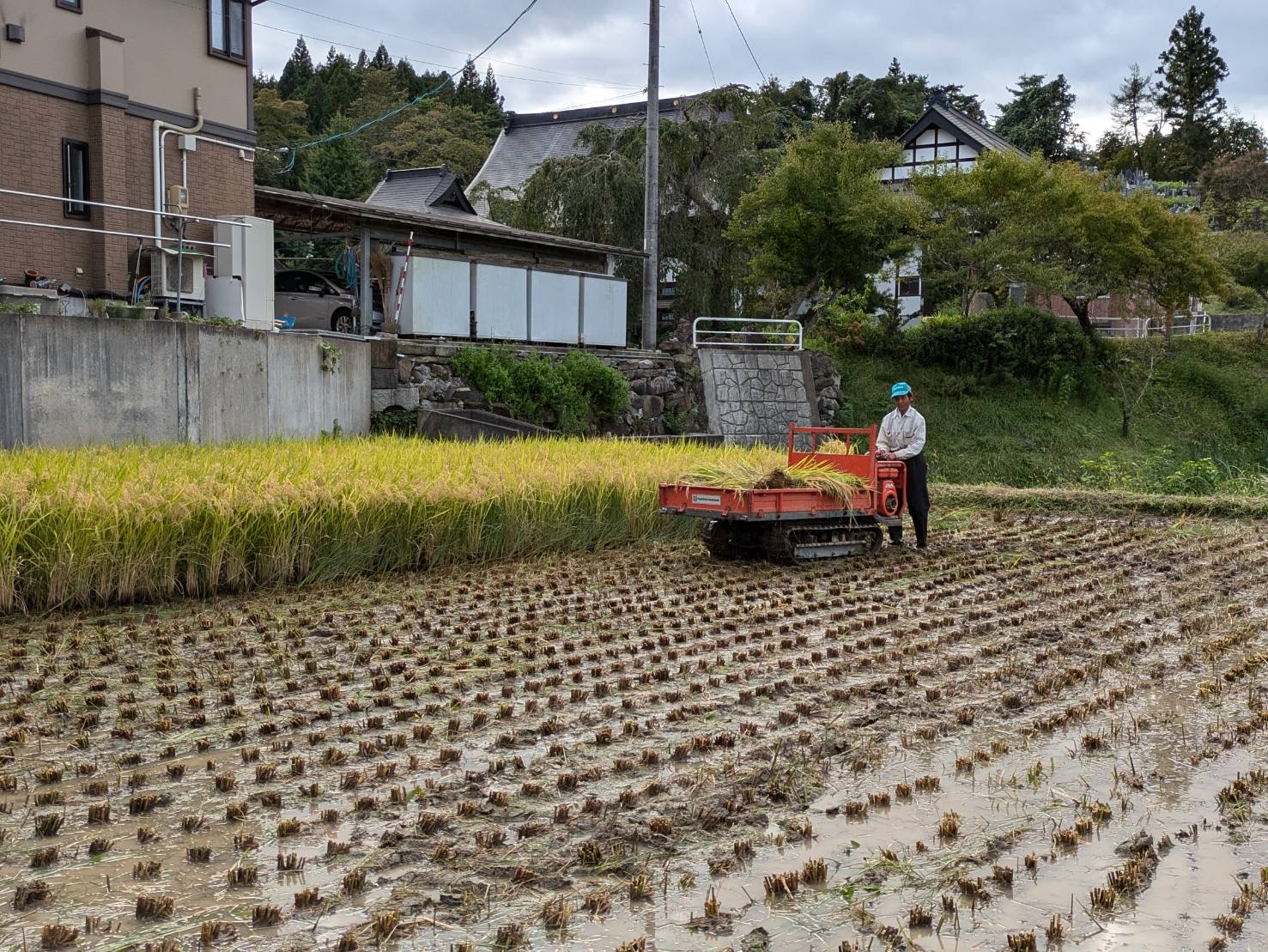 中山間地域の支援
